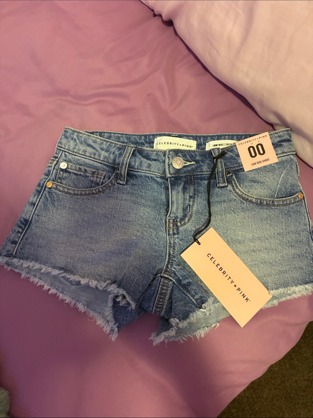 Celebrity Pink Light Blue Denim Frayed Hem Jean Shorts
